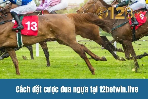 12bet – Cược Đua Ngựa Online, Tỷ Lệ Cược Đua Ngựa Cao 3 12bet – Cược Đua Ngựa Online, Tỷ Lệ Cược Đua Ngựa Cao